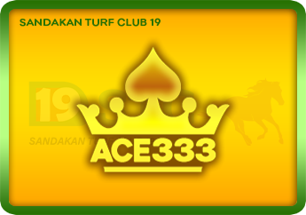 Ace333