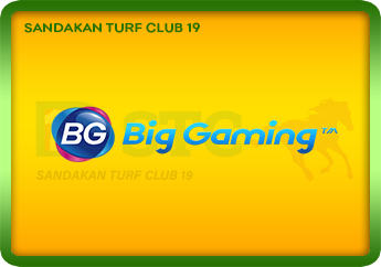 Big Gaming