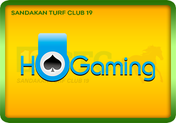Ho Gaming