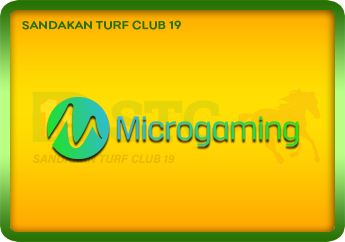 Micro Gaming