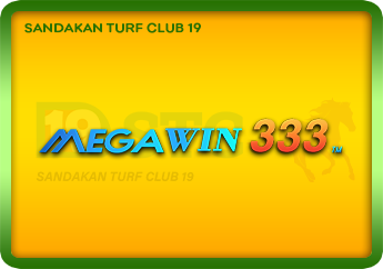 MegaWin333
